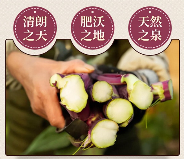 18_20221203_143213435